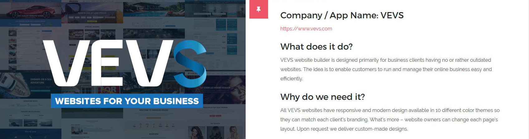 The Startup Pitch - VEVSoftware Review