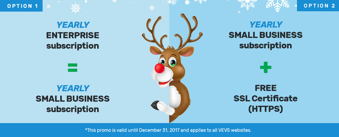 Special Christmas plans on VEVSoftware