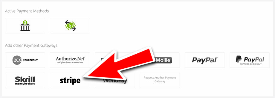 Stripe Payments with VEVSoftware Website Builder